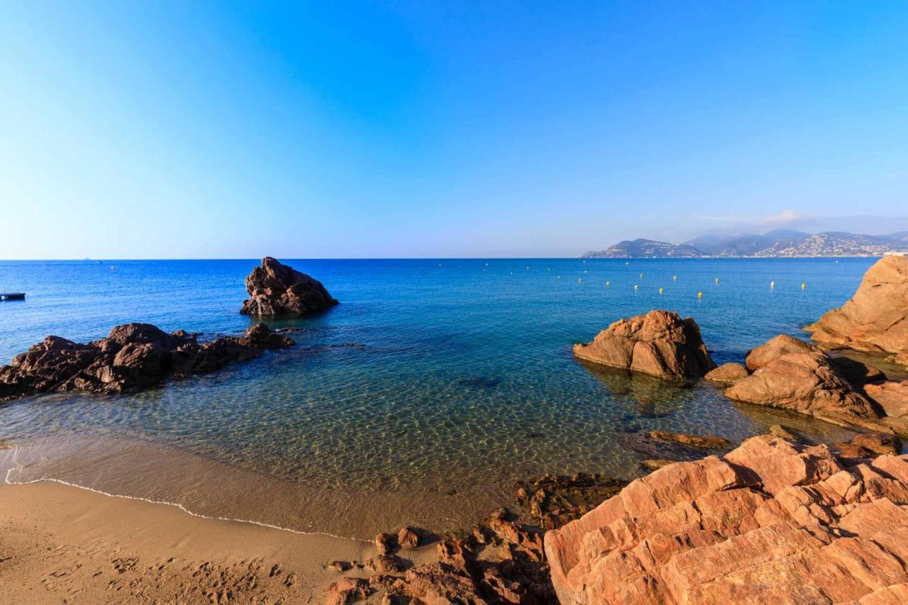 A 10 Min De La Croisette - Pieds Dans La Mer カンヌ エクステリア 写真